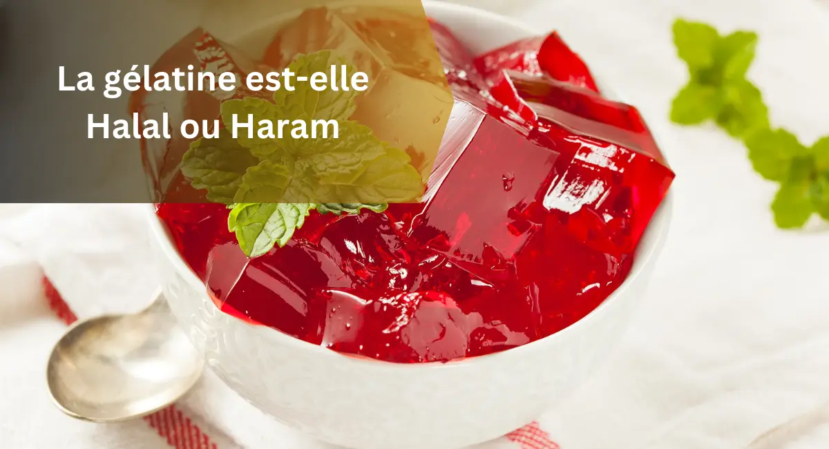 La gélatine est-elle Halal ou Haram