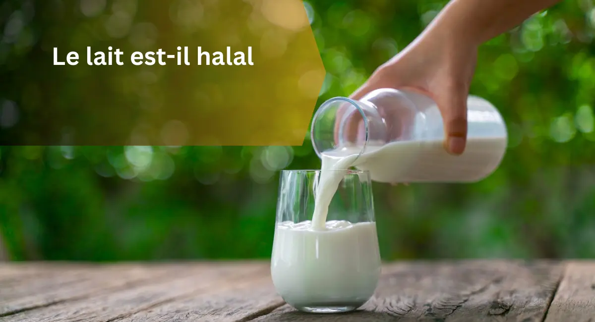 Le lait est-il halal