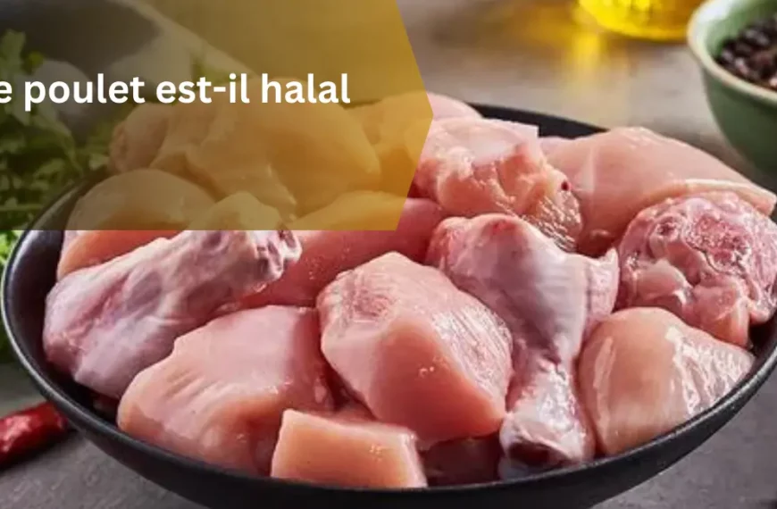 Le poulet est-il halal