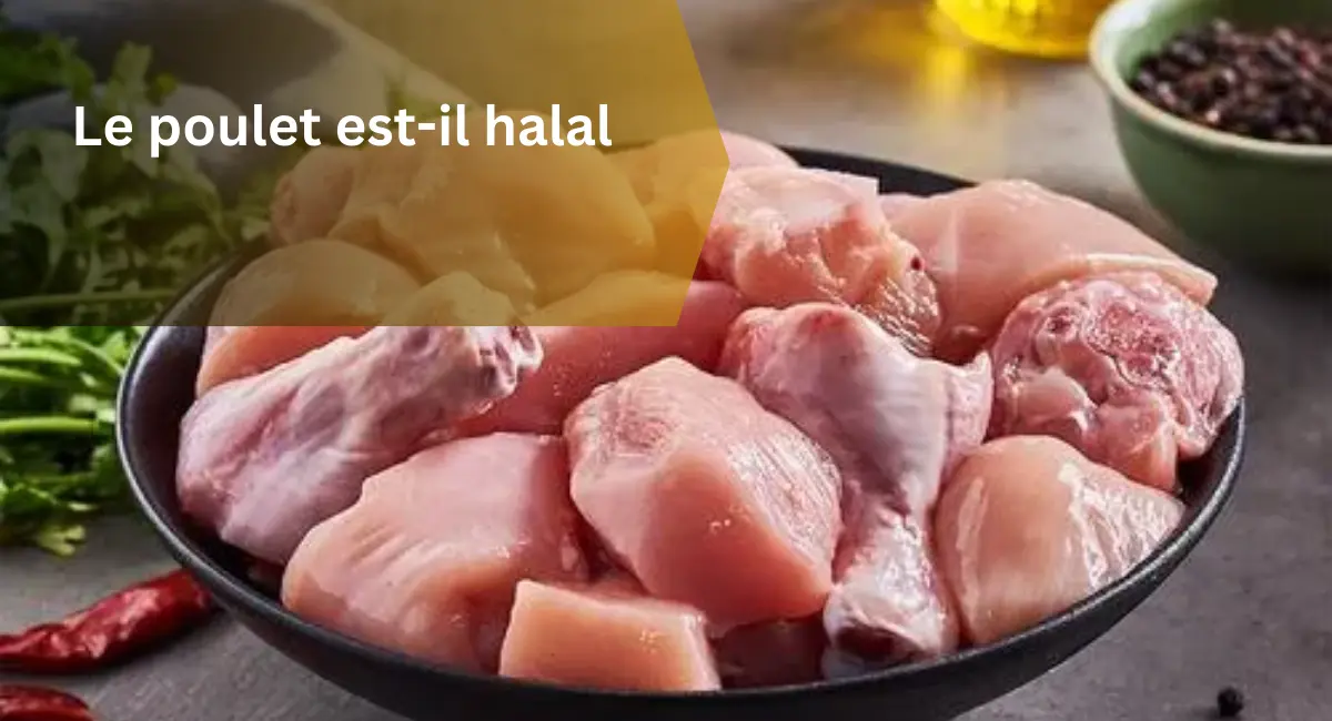 Le poulet est-il halal