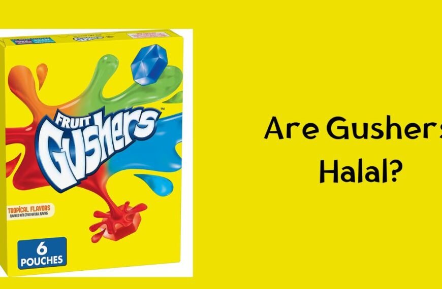 Les Gushers sont-ils Halal ?