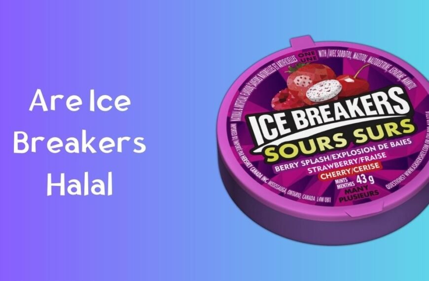 Les brise-glace sont-ils halal ?