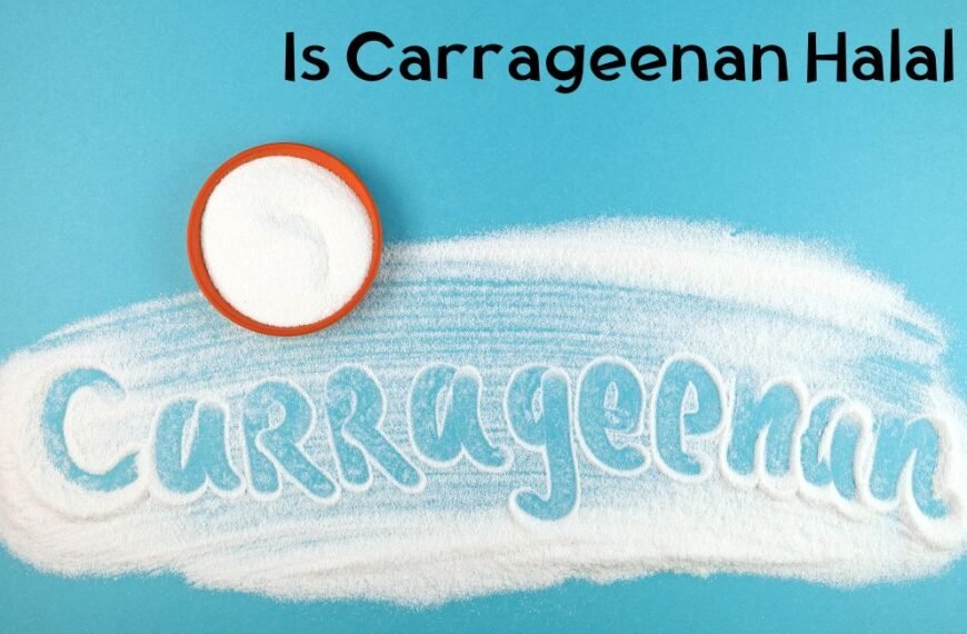 La carraghénane est-elle halal