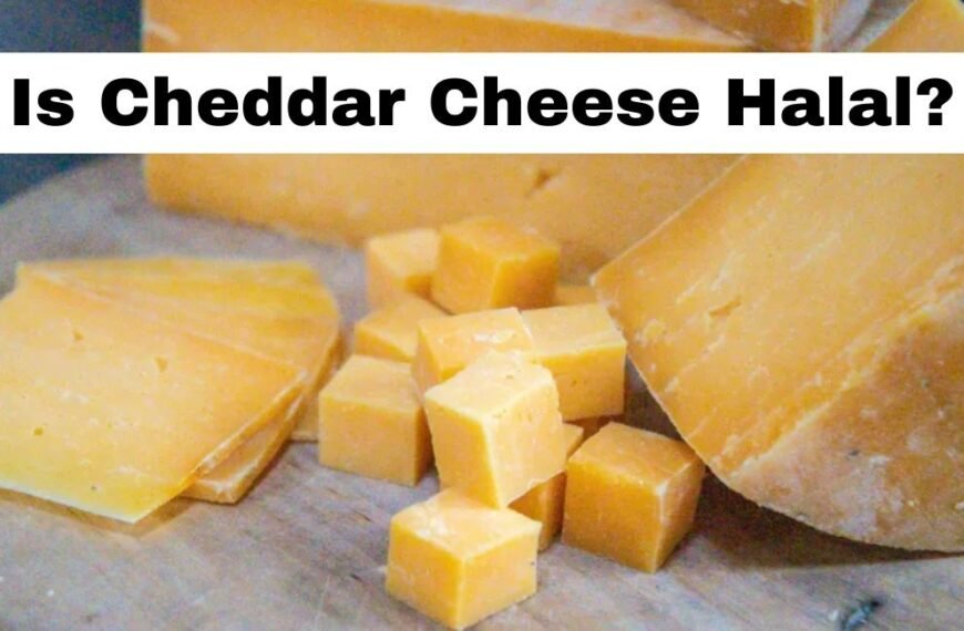 Le fromage cheddar est-il halal ? Ingrédients, processus de fabrication et statut Halal ou Haram