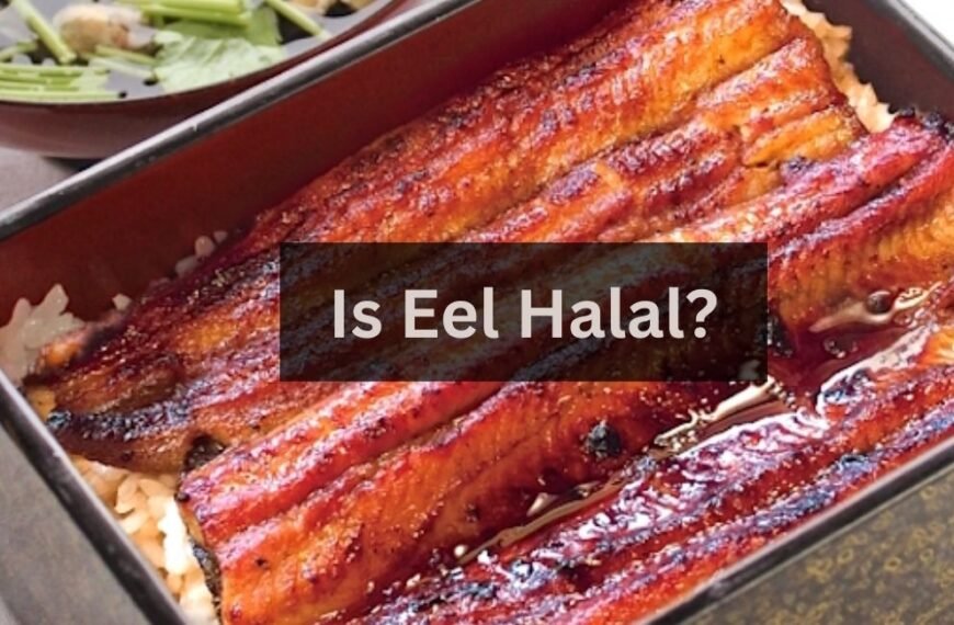 L’anguille est-elle halal à manger pour les musulmans ?