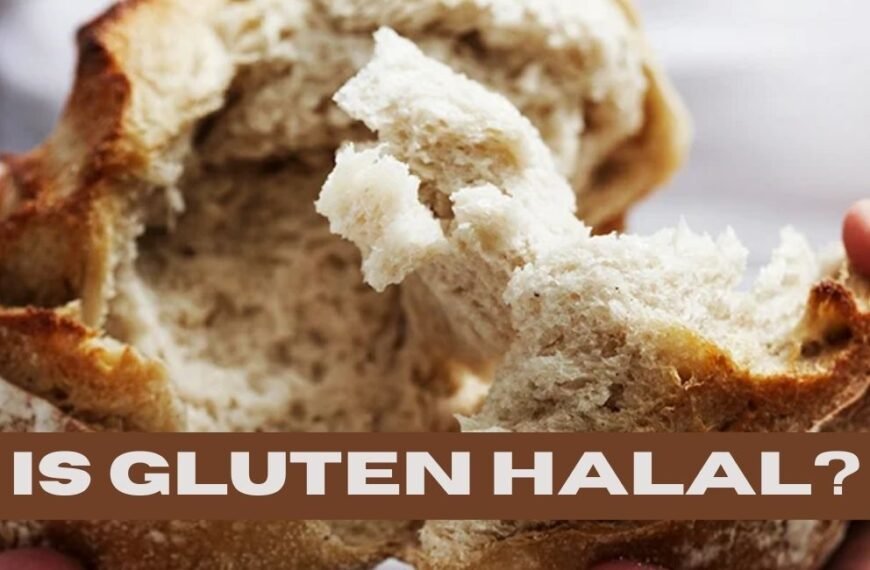 Le gluten est-il halal