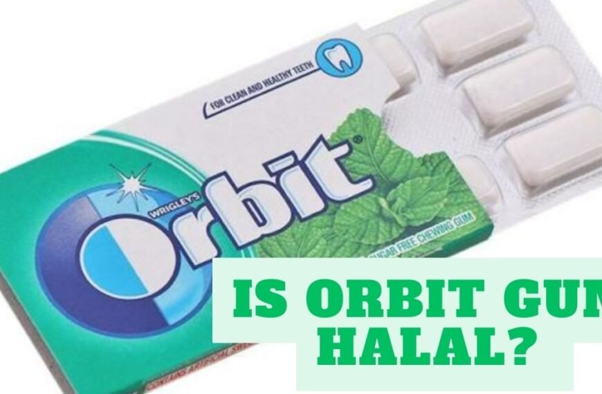 La gomme Orbit est-elle halal ?