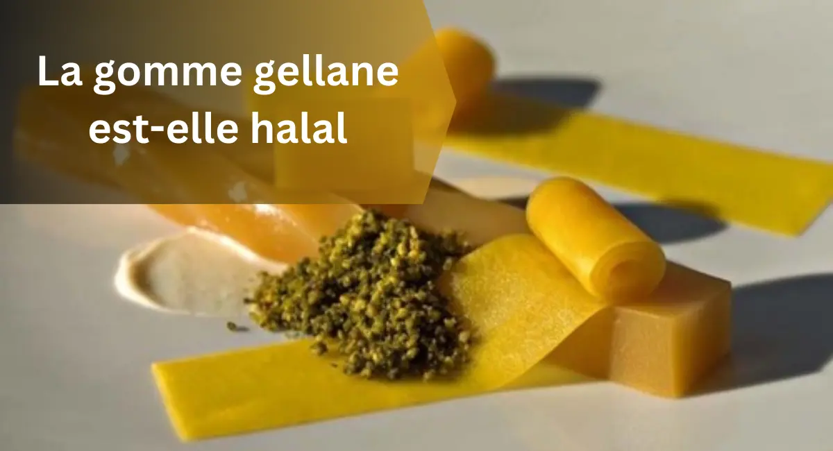 La gomme gellane est-elle halal