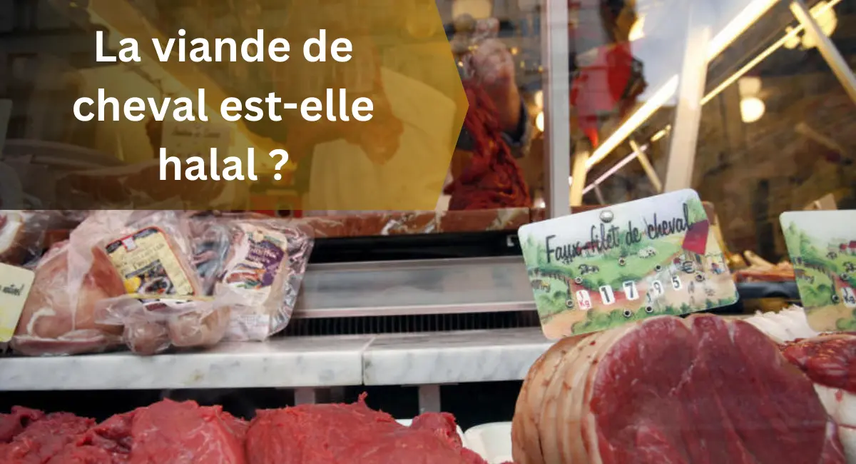 La viande de cheval est-elle halal ?