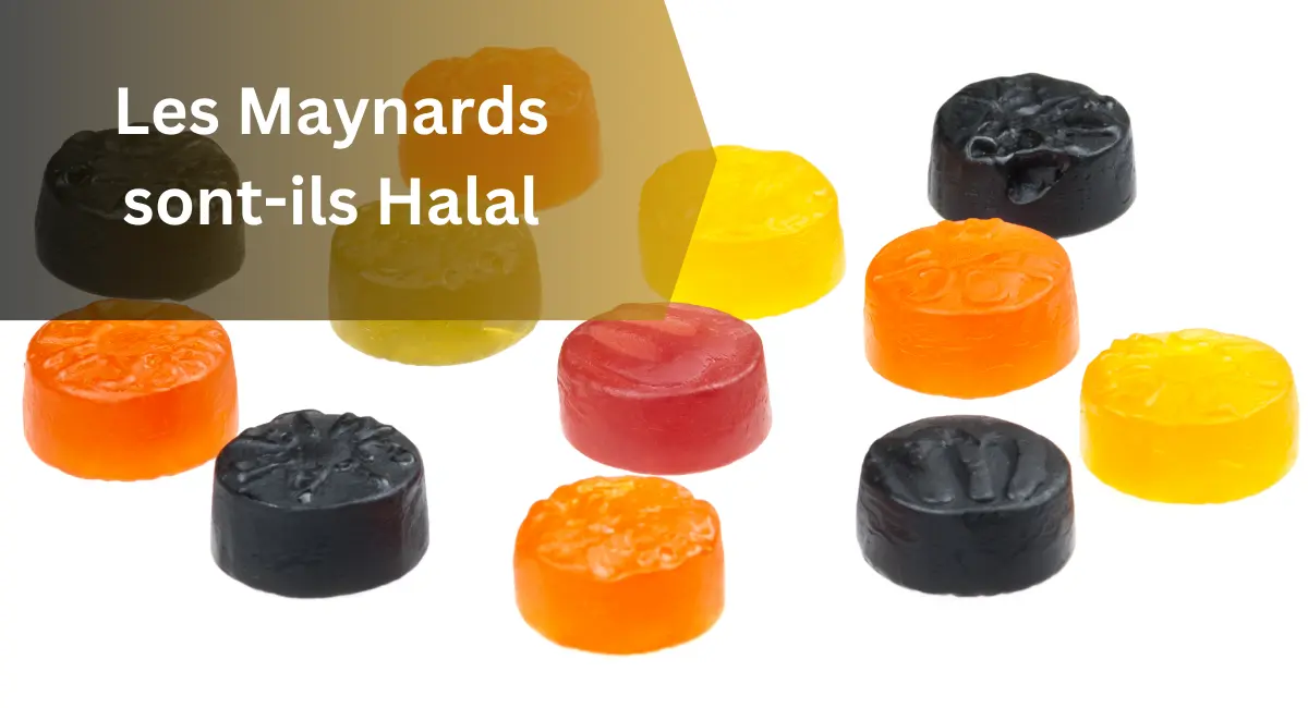 Les Maynards sont-ils Halal