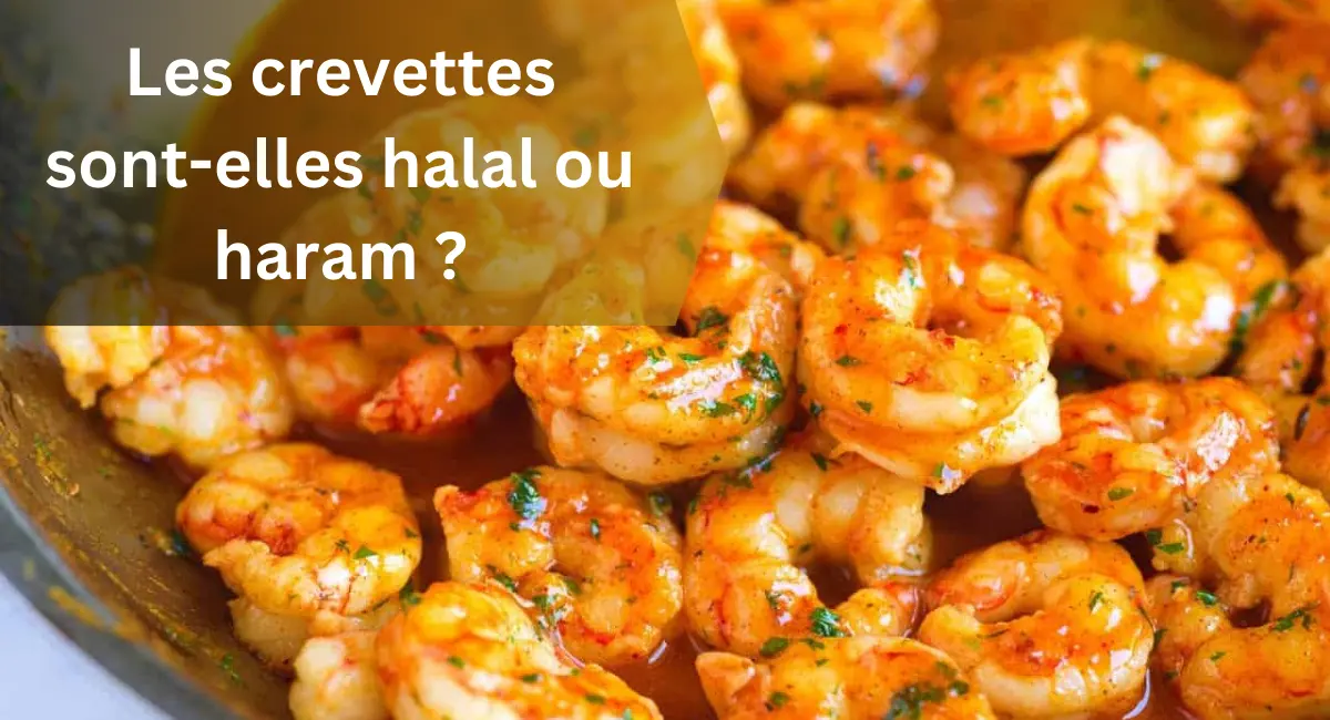 Les crevettes sont-elles halal ou haram